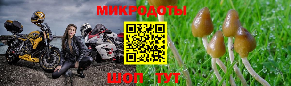Переславль-Залесский  Псилоцибиновые грибы Cubensis  Галлюциногенные грибы Psilocybe  Вход с VPN 